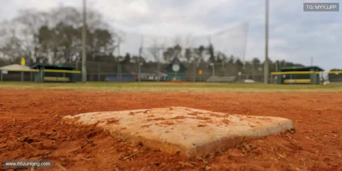 「全球赛事同步直播，超清画质 + 实时解说，让你身临其境！📺一键开启，激情无限！」